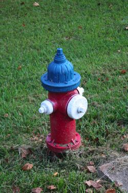 Fire-hydrant-demorest.jpg