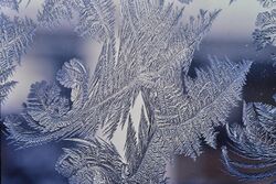 Frost patterns 4.jpg