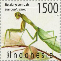 Hierodula venosa 2003 Indonesia stamp.jpg