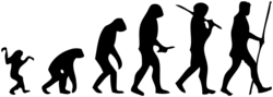 Human-evolution-man.png