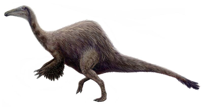 File:Hypothetical Deinocheirus.jpg