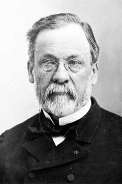 Louis Pasteur, Archives Photographiques.jpg