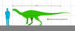 Macrogryphosaurus Scale.svg