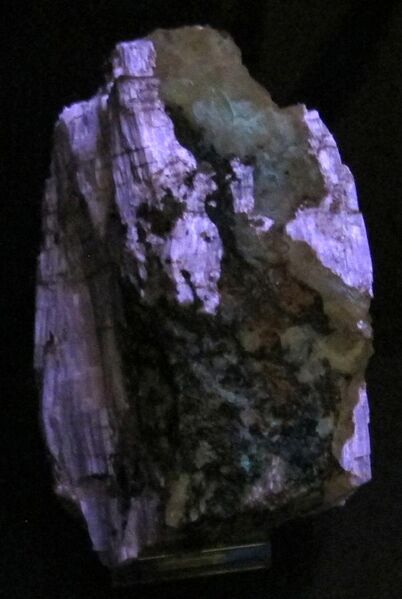 File:Museo di mineralogia, pietre fluorescenti, agrellite 3.JPG