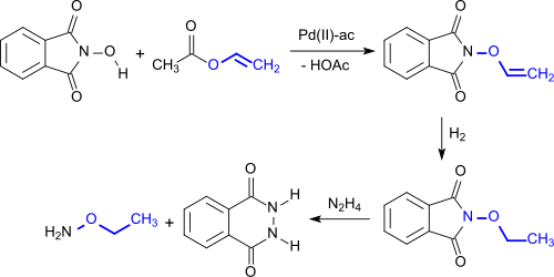 Synthesis of O-alkoxyamines via N-hydroxyphthalimides