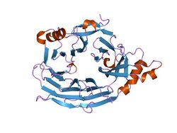 PDB 1xks EBI.jpg