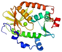 Pyrobaculum calidifontis Cas4 PDB 4R5Q.png