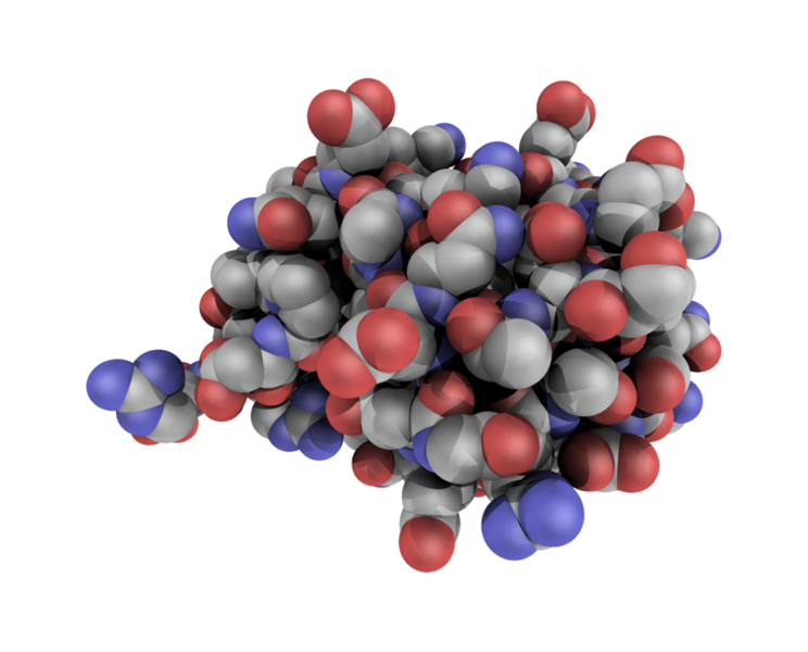 File:Ubiquitin spheres.png