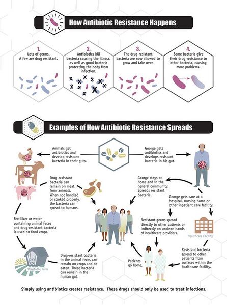 File:Antibiotic Resistance Spread.jpg