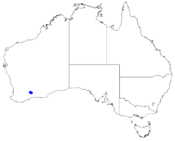 Boronia revoluta DistMap100.png