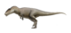 Carcharodontosaurus.png