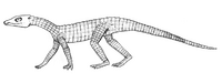 Gobiosuchus restoration (2004).png