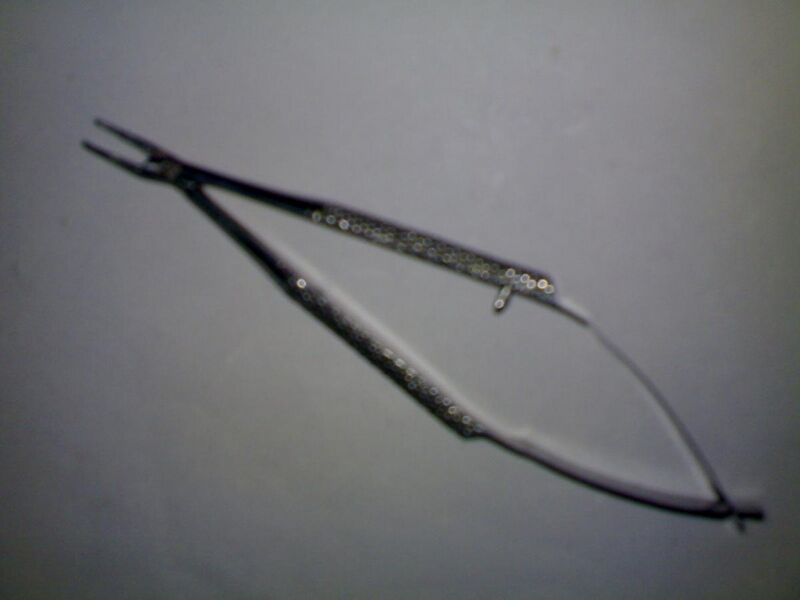 File:Medical instrument Eye Barraquer's needle holder.jpg