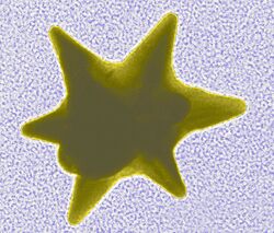 An electron micrograph of a star-shaped nanoparticle