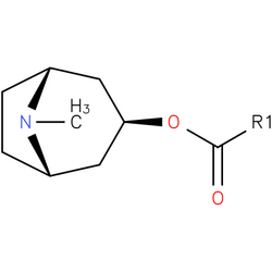 O-acylpseudotropine.png