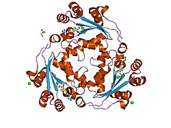 PDB 1ucn EBI.jpg