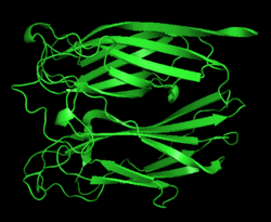 PNGaseF Structure unknown-organism unknown-datasource.png