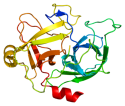 Protein MST1 PDB 2asu.png