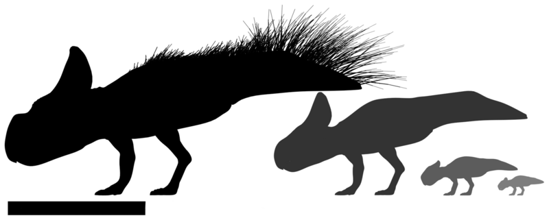 File:Protoceratops ontogeny sizes.png