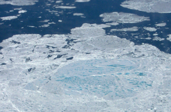 Sea Ice MeltPonds.png