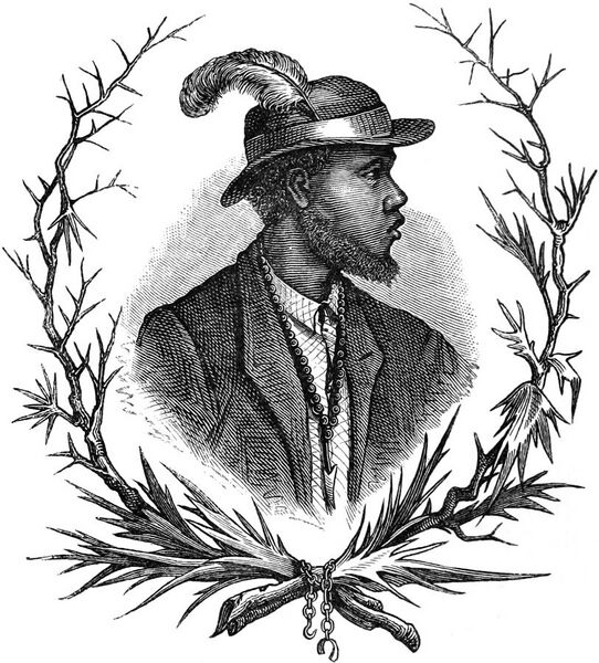 File:Seven Years in South Africa, page 220, king Sepopo.jpg