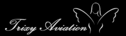 Trixy Aviation Products GmbH Logo 2014.png