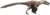 Utahraptor Restoration (flipped).png