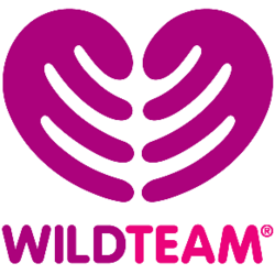 WildTeam logo.png