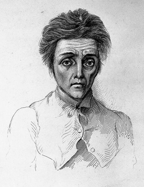 File:A. Morison "Physiognomy of mental diseases", cases Wellcome L0022722 (cropped).jpg