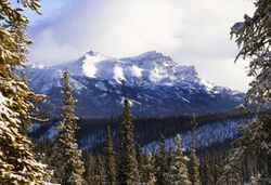 A view of Mount Fellows from the park entrance of Denali.jpg