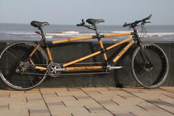 Bamboo-tandem-bicycle IMG-2679.jpg