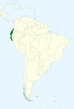 Campephilus gayaquilensis map.svg