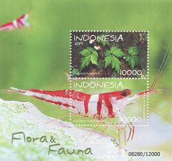 Caridina woltereckae 2019 stampsheet of Indonesia.jpg