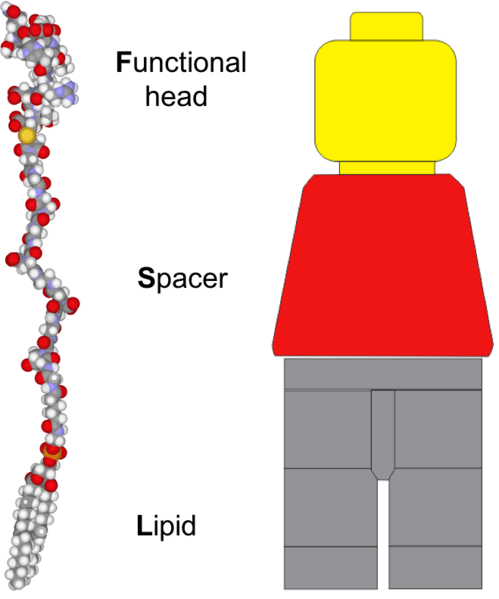 File:FSL Lego minifigure analogy.png