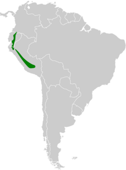 Gallinago imperialis map.svg