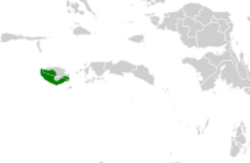 Gymnophaps mada map.svg