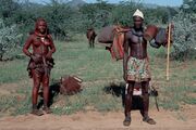 Himba herders the Kaokoveld desert