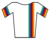 Mens World Cup leaders jersey.png