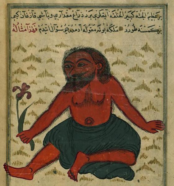 File:Muhammad ibn Muhammad Shakir Ruzmah-'i Nathani - The Monster of Gog and Magog - Walters W659190B - Full Page.jpg