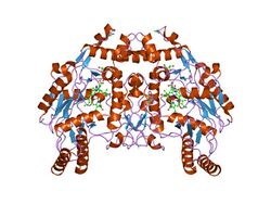 PDB 1ed4 EBI.jpg