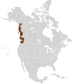 Peromyscus keeni map.svg