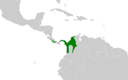 Pheugopedius fasciatoventris map.svg