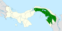 Phylloscartes flavovirens map.svg