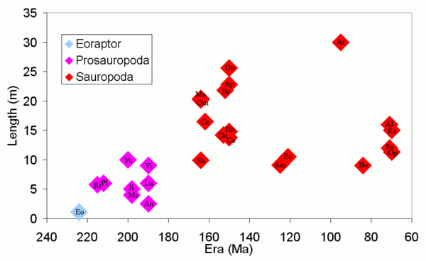 Sauropod Length.gif