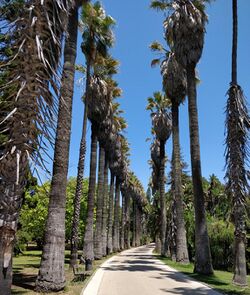 TropicalBotanicalGardenLisbon2.jpg