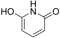 2,6-Dihydroxypyridine.png