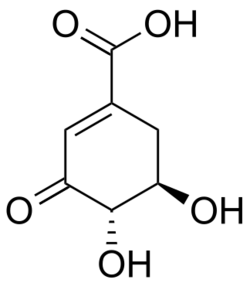 3-Dehydroshikimic acid.svg