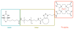 90Y-DOTA-biotin skeletal.svg