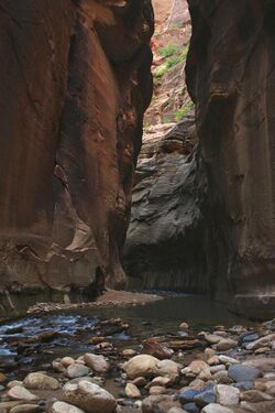A263, Zion National Park, Utah, USA, the Narrows of Zion Canyon, 2008.JPG