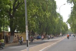 A street in Maroua.jpg